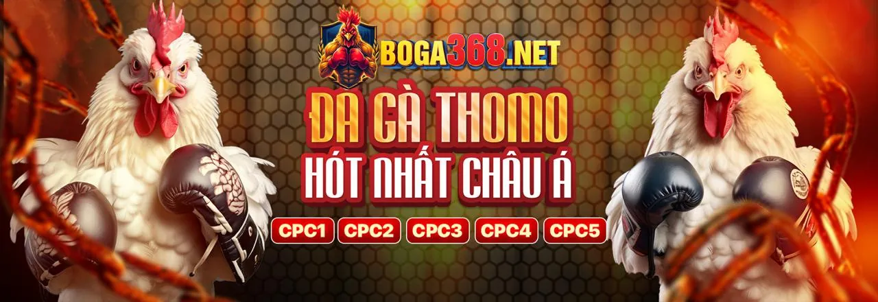 Giải pháp cho các vấn đề thường gặp khi đăng nhập ok365vip