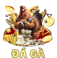 Ưu đãi sinh nhật và quà tặng độc quyền