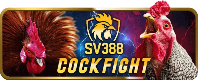 Hình ảnh khuyến mãi chào mừng thành viên mới tại ok365vip login, với các phần thưởng hấp dẫn.
